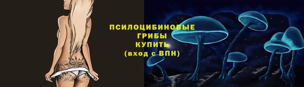 ПСИЛОЦИБИНОВЫЕ ГРИБЫ Богданович