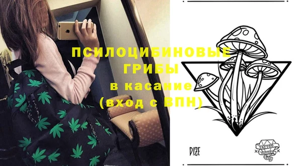 a pvp Богородск