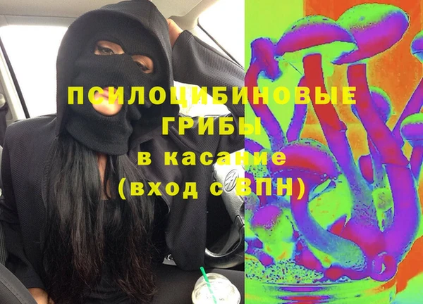 ПСИЛОЦИБИНОВЫЕ ГРИБЫ Богданович