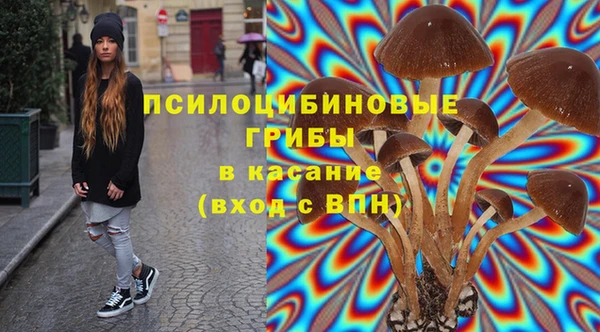 ПСИЛОЦИБИНОВЫЕ ГРИБЫ Богданович