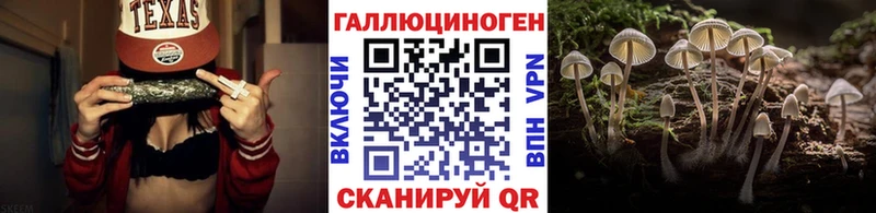 Галлюциногенные грибы Cubensis  mega маркетплейс  Ленинградская 